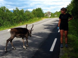 norwegia_rower_03