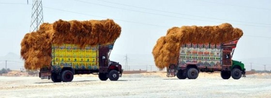Pakistan - ciężarówki Kolorowe ciężarówki w Pakistanie