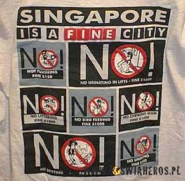Pamiątkowa koszulka z Singapuru.
