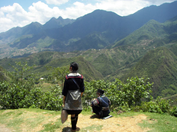 Zatoka Ha Long? Lepiej jedźcie do Sapa