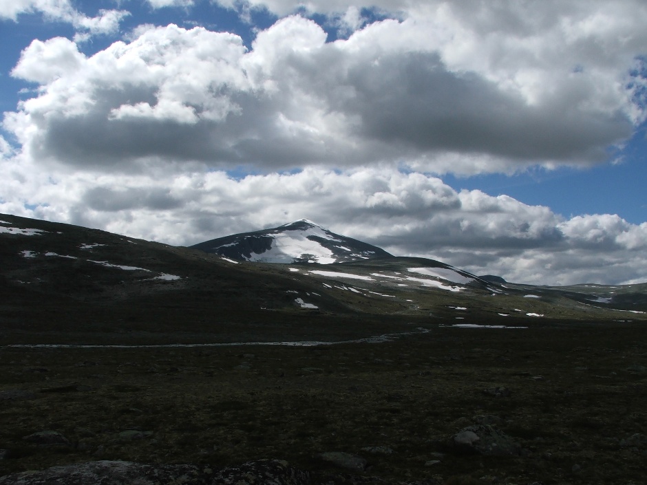 1. NORWEGIA, Dovrefjell. Snohetta to najwyższy szczyt Parku Dovrefjell. Widać ją już u początku wędrówki na jej szczyt, jednak to tylko złudzenie, że droga nie jest długa i męcząca. (Fot. Jadzia Ruszel i Krzysiek Miszkiewicz) 1. NORWEGIA, Dovrefjell. Snohetta to najwyższy szczyt Parku Dovrefjell. Widać ją już u początku wędrówki na jej szczyt, jednak to tylko złudzenie, że droga nie jest długa i męcząca. (Fot. Jadzia Ruszel i Krzysiek Miszkiewicz)