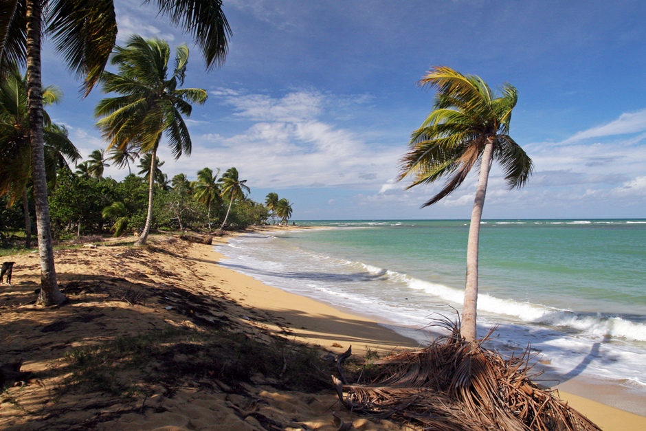 7. DOMINIKANA, Las Terrenas. Plaże oferują klasyczne widoki - błękitne niebo, przejrzysta woda, jasny piasek i pochylona palma kokosowa. (Fot. Ewa Serwicka) 7. DOMINIKANA, Las Terrenas. Plaże oferują klasyczne widoki - błękitne niebo, przejrzysta woda, jasny piasek i pochylona palma kokosowa. (Fot. Ewa Serwicka)