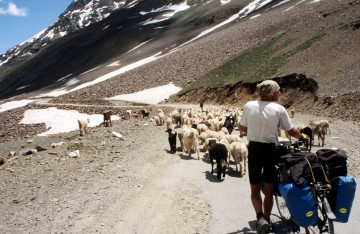 Indie, Ladakh. Okolice przełęczy Baralacha. (Fot. Piotr Strzeżysz)