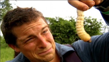 Bear Grylls