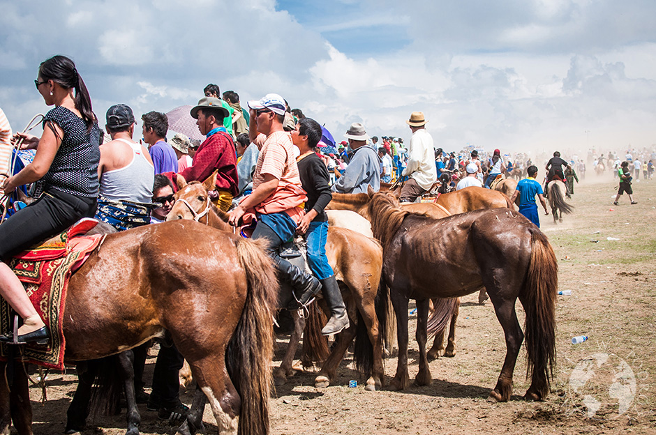 16. MONGOLIA, Ułan Bator. Konie mongolskie, choć bardzo małe, są duma narodową i każdy mieszkaniec stepu zaczyna jeździć konno, gdy tylko nauczy się chodzić. (Fot. Katarzyna Kipigroch-Paczek) konie mongolskie