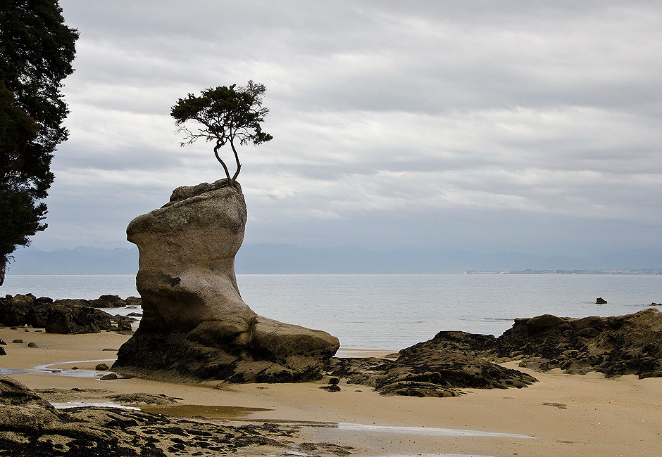 22. Nowa Zelandia, Abel Tasman National Park. Liczne zatoki wybrzeża tego parku zapewniają niesamowite widoki. (Fot. Kuba Adamiec) Abel Tasman National Park