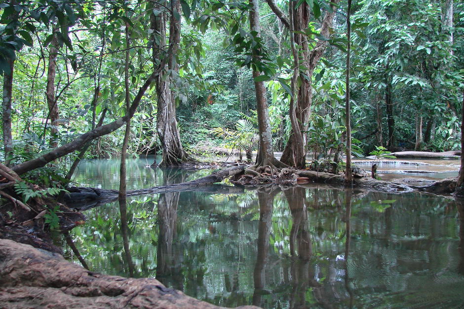 18. LAOS, Wodospad Kuang Si/Luang Prabang. Po wejściu na szczyt, z którego spływa wodospad, czeka na nas taki oto widok.(Fot. Katarzyna Wachowska) widok ze szczytu wodospadu Kuang Si/Luang Prabang
