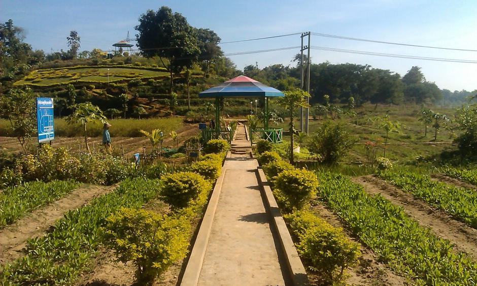 18. BIRMA, Nay Pyi Taw. National Herbal Garden zawierający wystawę roślin o właściwościach medycznych z większości regionów Birmy. W ogrodzie znajduje się kilka tysięcy roślin reprezentujących kilkaset gatunków. Kolejna atrakcja turystyczna, w której jest wszystko poza turystami. (fot. Marek Lenarcik) National Herbal Garden