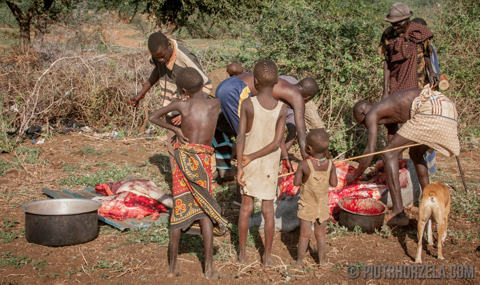 10. SUDAN POŁUDNIOWY, Wschodnia Equatoria, Kapoeta. Dzielenie mięsa dobiega koñca. Nic się nie marnuje... (Fot. Piotr Horzela) Dzielenie mięsa zabitego byka. Zdjęcia z Sudanu Południowego