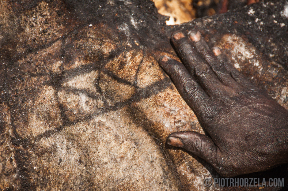 13. SUDAN POŁUDNIOWY, Wschodnia Equatoria, Kapoeta. Myślicie, że jeżeli sierść się nie opaliła to mięso jest upieczone? (Fot. Piotr Horzela) Zdfjęcia z Afryki - pieczenie zabitego rytualni byka