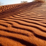Wadi Rum – nie tylko czerwony piasek