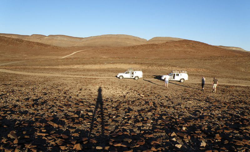Namibia. Damaraland. Droga odcinała się krętą, jaśniejszą kreską, tak jakby ktoś zaznaczył ślad kreśląc wzory palcem w cynamonowym pyle. (fot. Grzegorz Mojs) Podróż przez Namibię - Damaraland