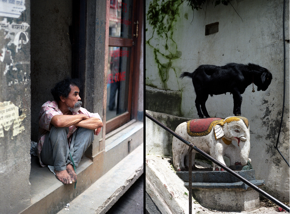 22. Nepal. Mieszkaniec Katmandu i koza na słoniu.. (Fot. Grzegorz Król) Nepal. Mieszkaniec Katmandu i koza na słoniu.