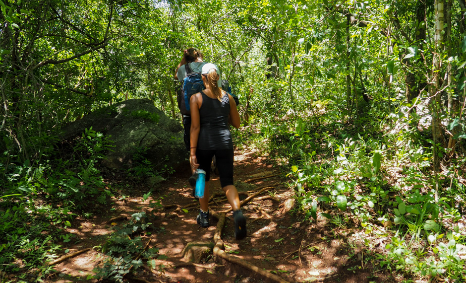06. MALAWI, Mount Mulanje.