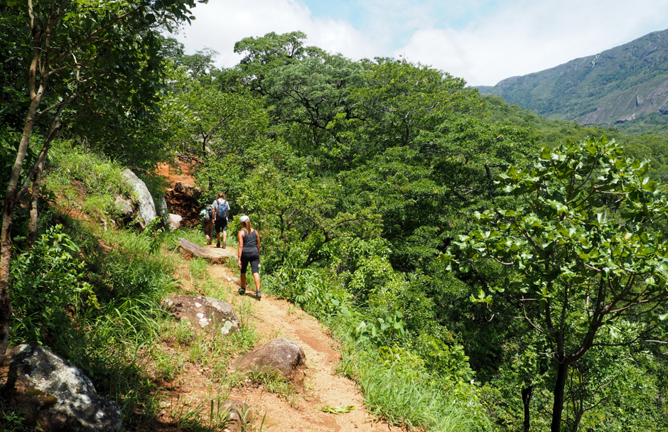 07. MALAWI, Mount Mulanje.