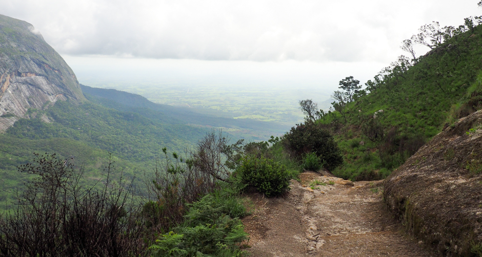 08. MALAWI, Mount Mulanje.