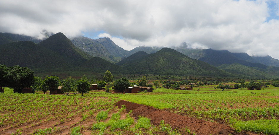 03. MALAWI, Phalombe.